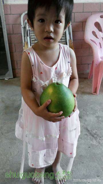 131528gfq3f3hf22748fvf.jpg