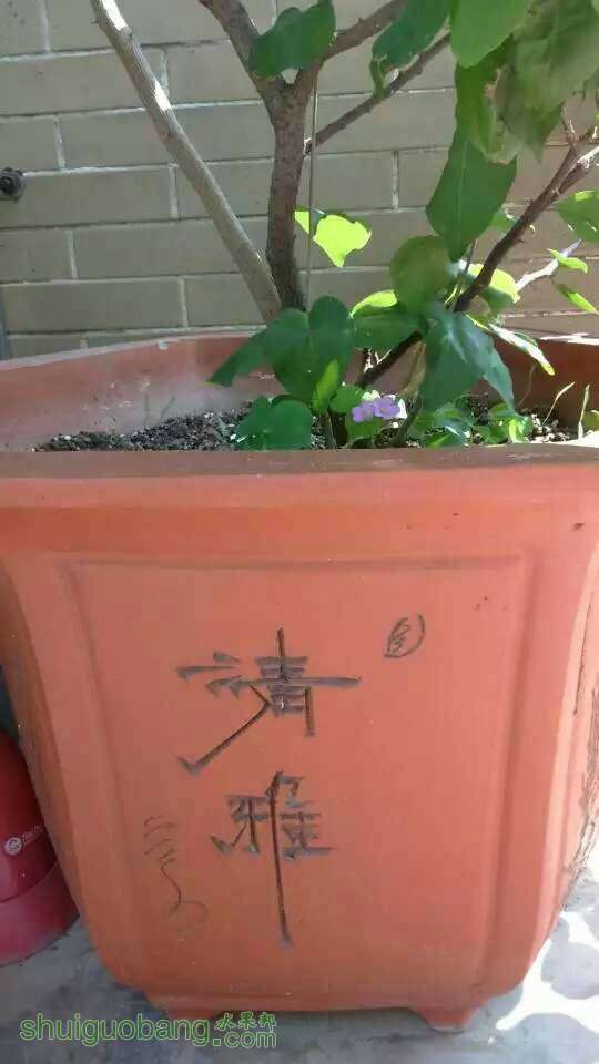 141351prhh6dld6h6xxsdd.jpeg