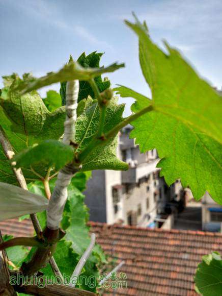IMG_20160604_154408_HDR_.jpg