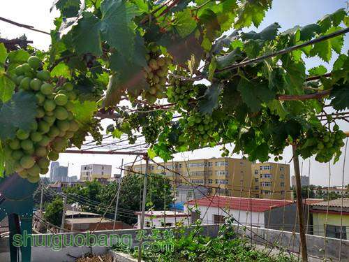 IMG_20160604_154525_HDR_.jpg