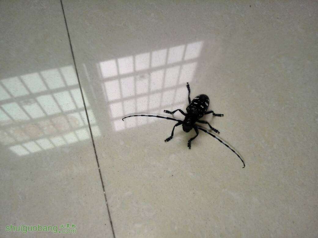010025utwoxww0uqvdvquw.jpg