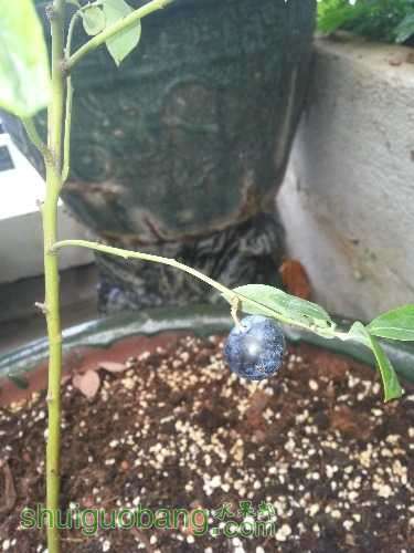 20160606_131857.jpg