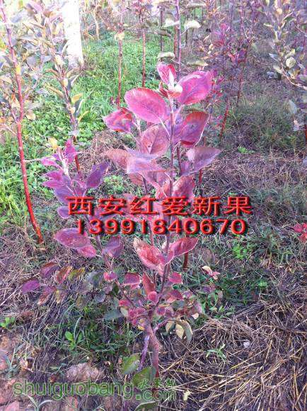IMG_0445.jpg