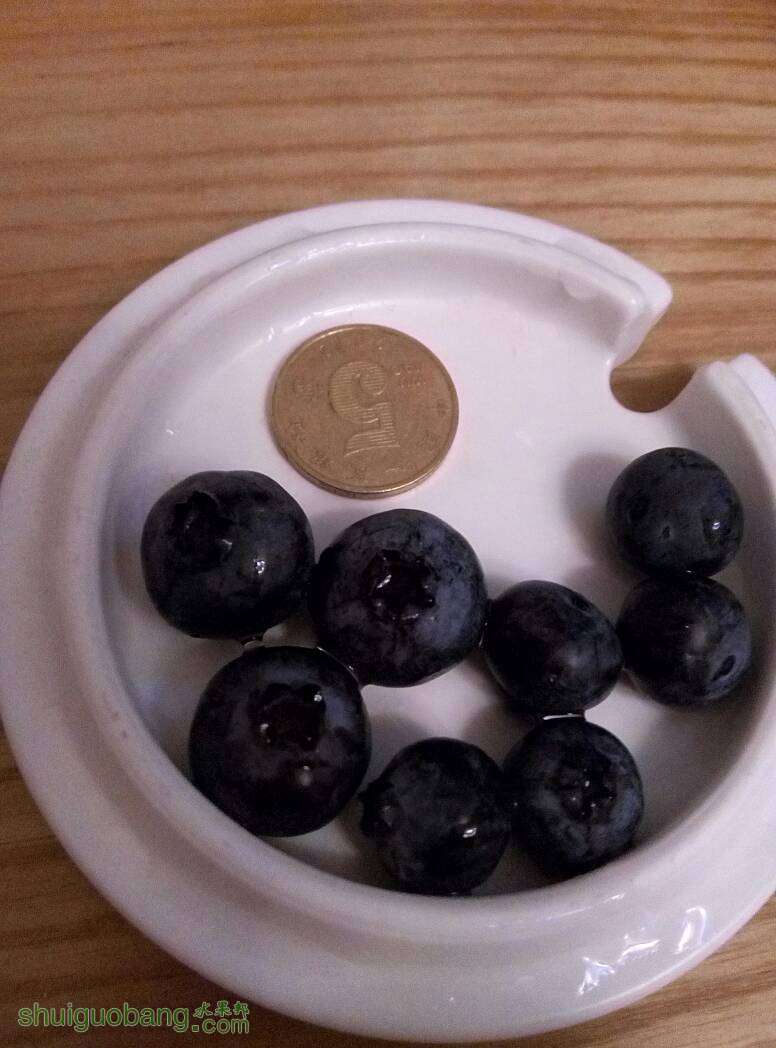 195200zjeewmft0uxeulih.jpg