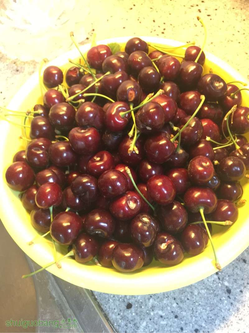 104840oxy64v1bvvzikkbi.jpg