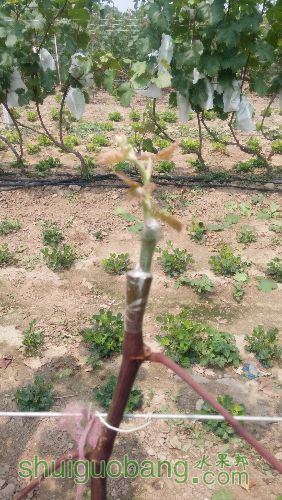 20160609105735.jpg