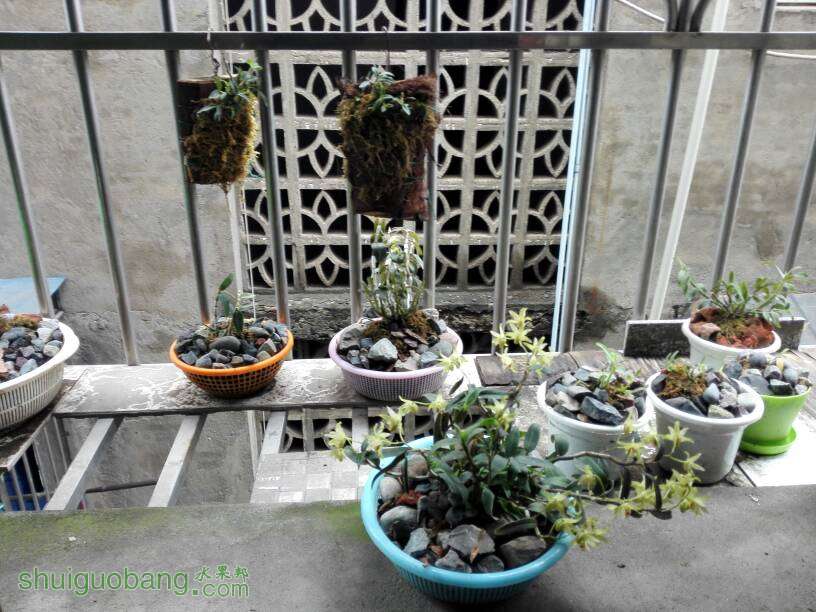 135021tiwp0psrt5z15t5t.jpg