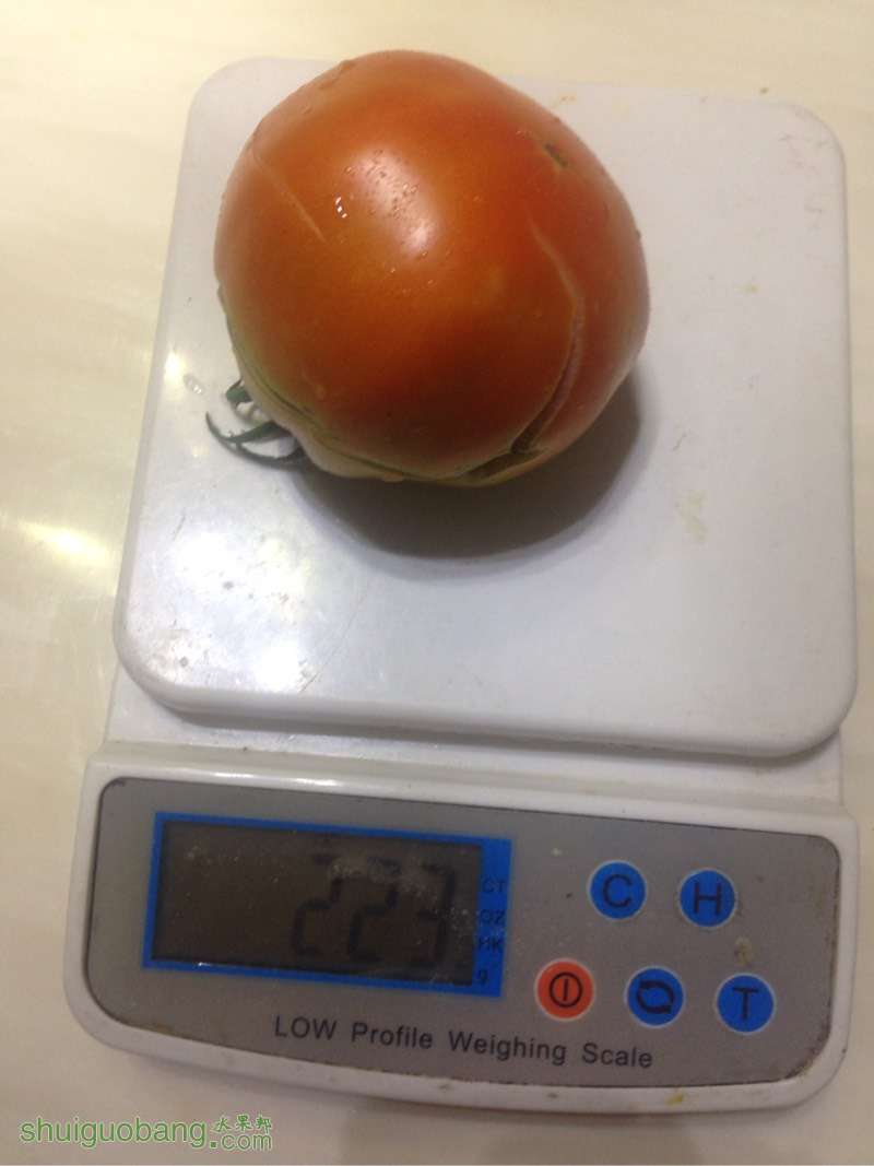 164705l9uowpyvl9p9hilo.jpg