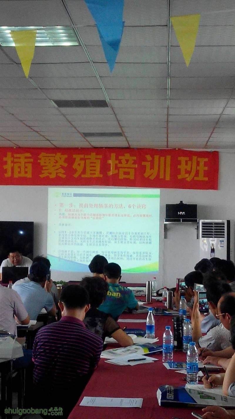 140804gp728aq08d0q8alq.jpg