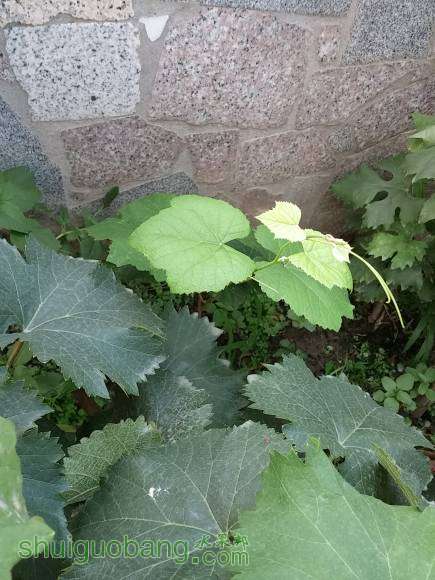 20160604_183755.jpg