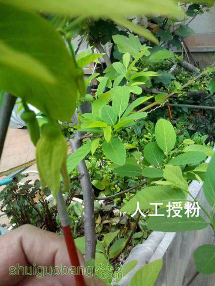 IMG_20150513_083838(1)__.jpg