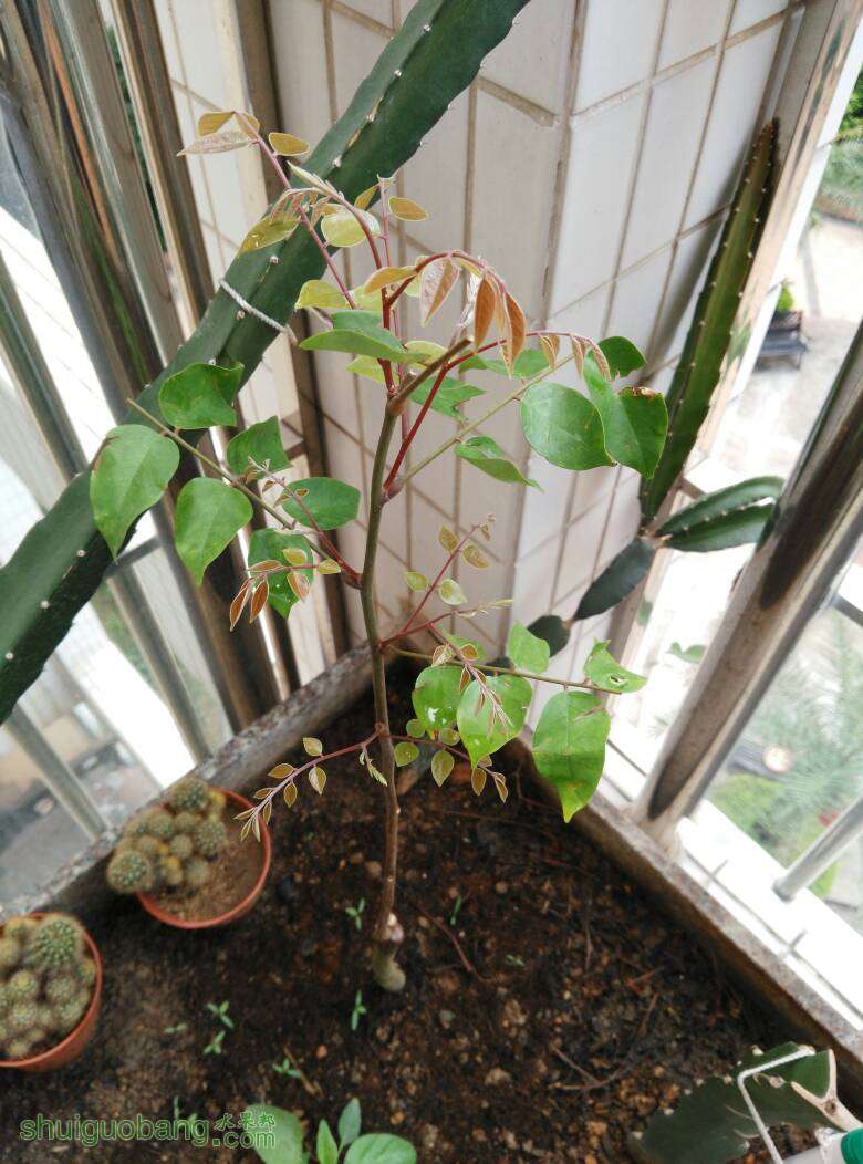 113023azom2t0nhxorth2o.jpg