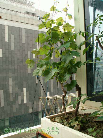 PICT8690.JPG