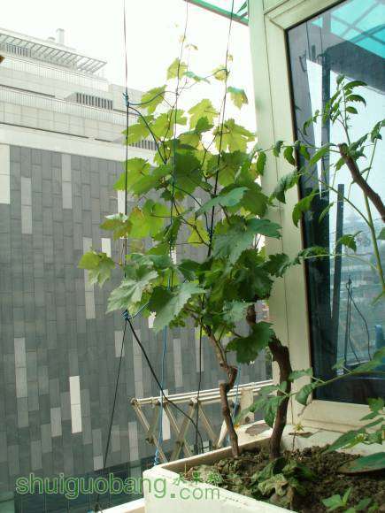PICT8691.JPG