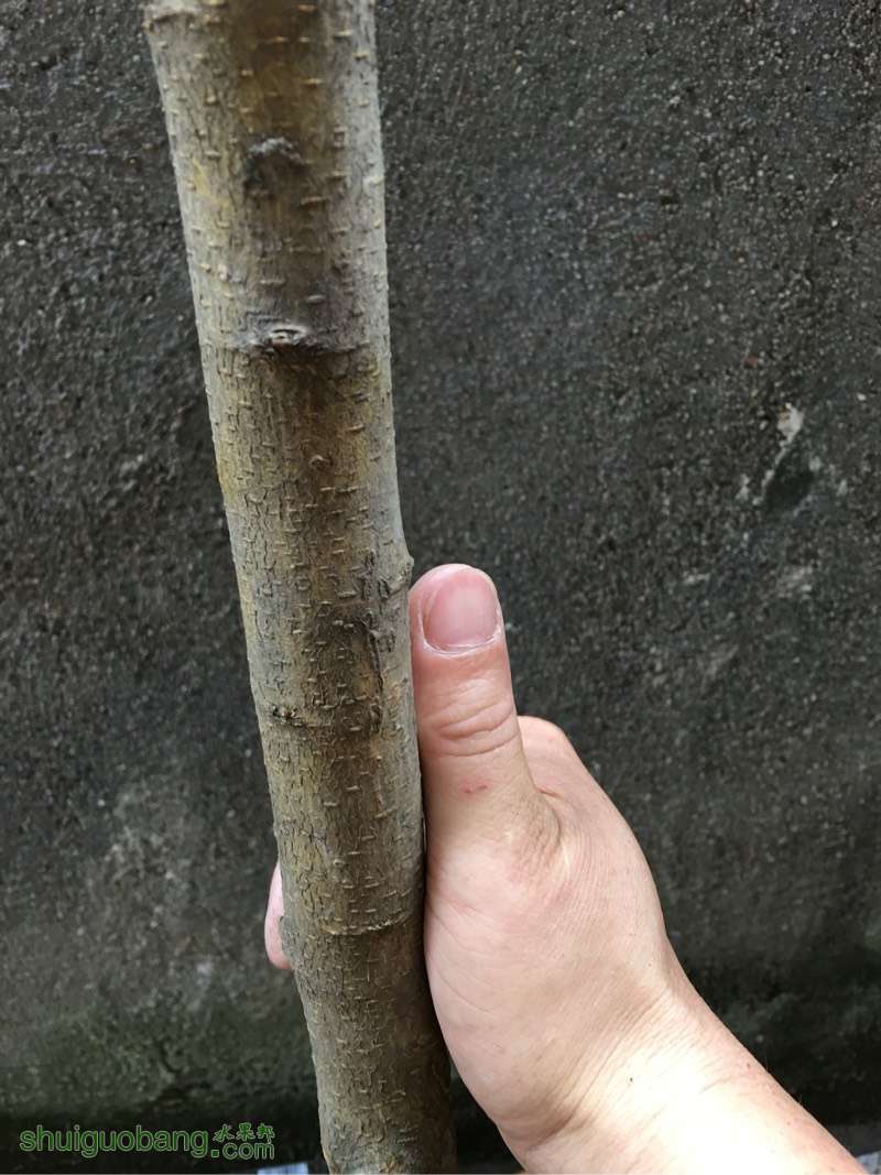 135905uo4xd5ovfdul99f8.jpg