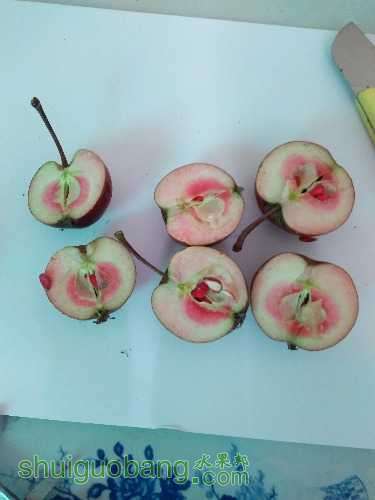 IMG20160612144055.jpg