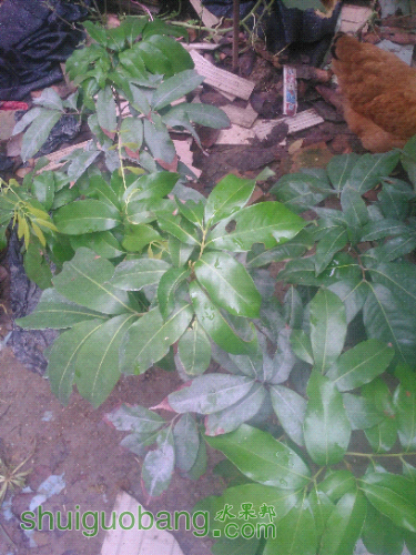 IMG_20160610_084610.jpg