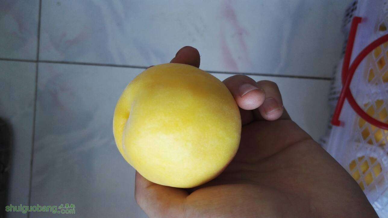 134116n0clfzcjjxjg7j1b.jpg