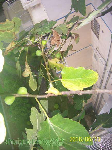 100_1220.JPG
