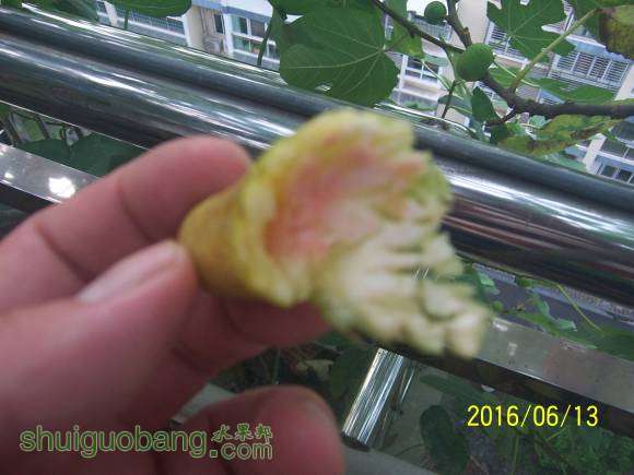 100_1223.JPG