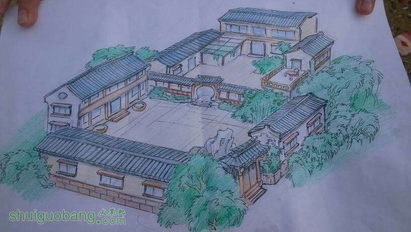 024351mhhpwwy52yqkinuu.jpg