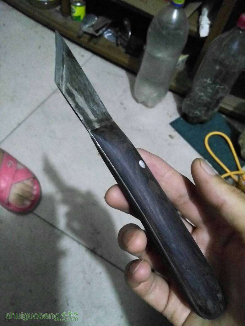 195742d6u6jtwqh22oyin5.jpg
