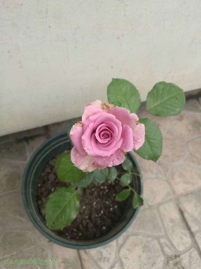 085344j58ke586tiy3zdm6.jpg