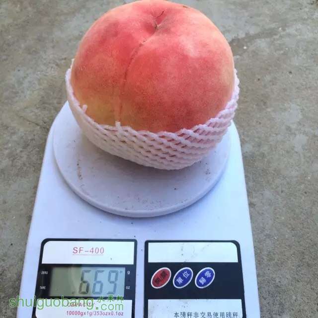 212829bkaxoap2jdkoz7oz.jpg