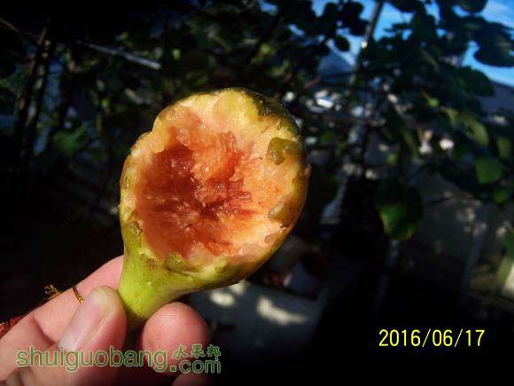 100_1247.JPG
