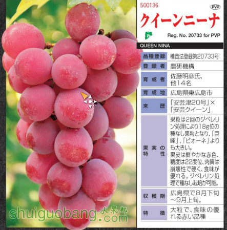 QQͼƬ20160617195148.png