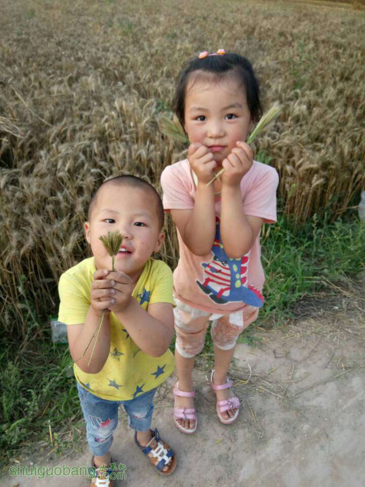 202509hu341s8epb812qkq.jpg