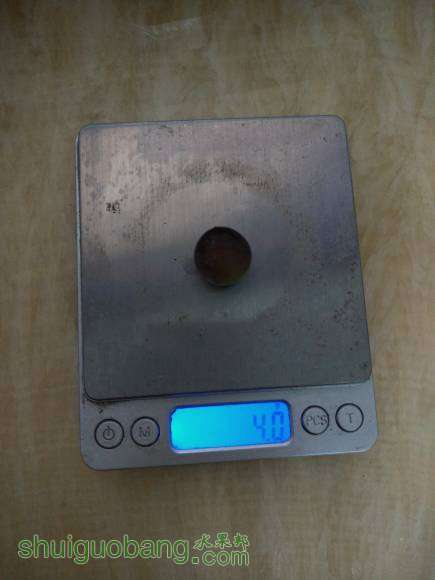 ϼ