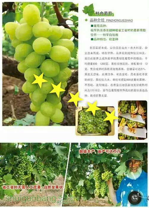 100235enj9yjccbuljun2j.jpg