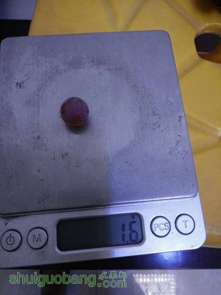 IMG20160617185914.jpg