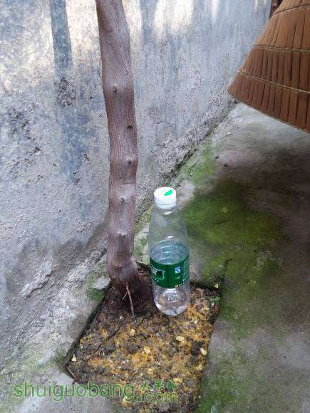 ľõ.jpg