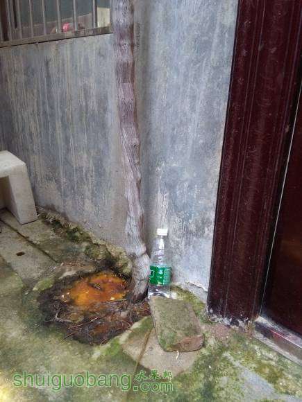 ľ޷.jpg