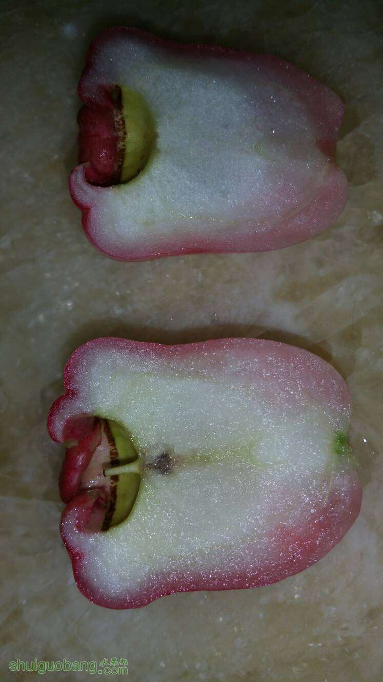 210531hsjfdhyb11zlxhv2.jpg