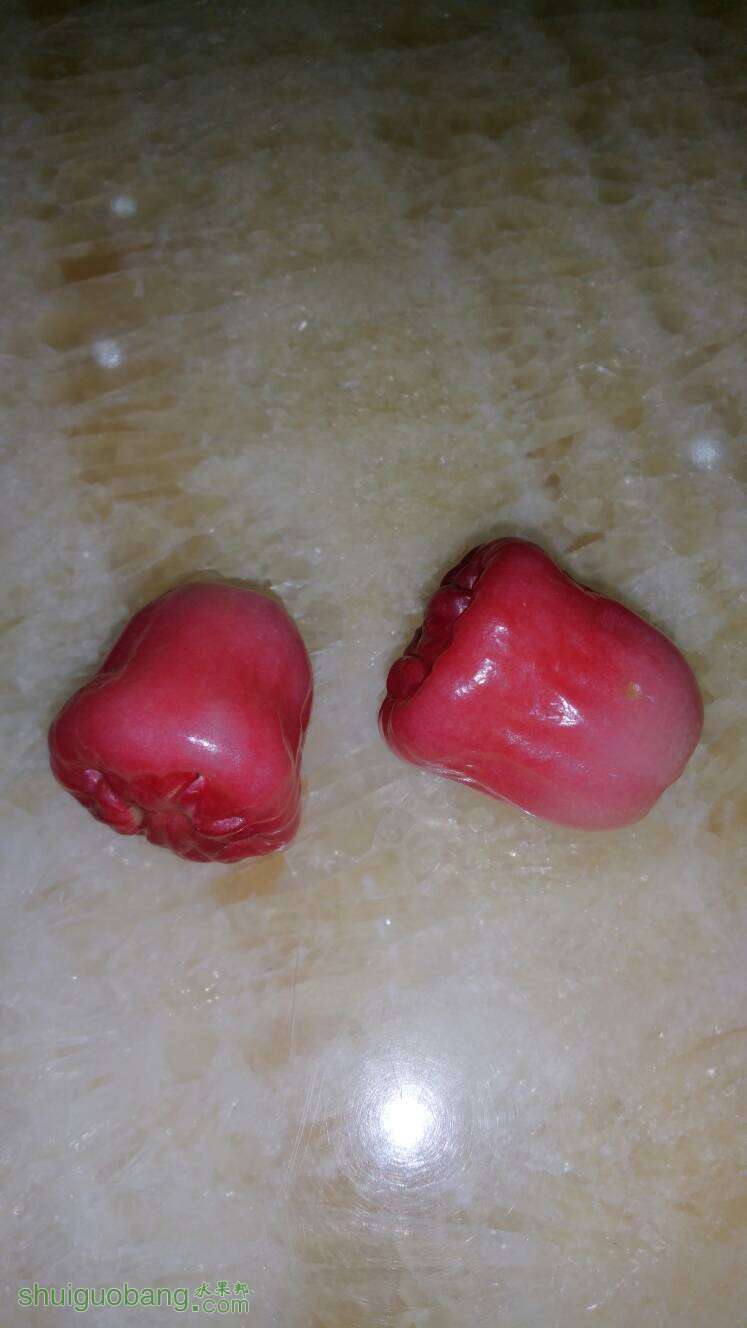 210531mkqpaxx0zx00jajq.jpg