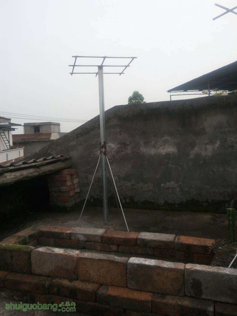 火龙果架子多高为宜?