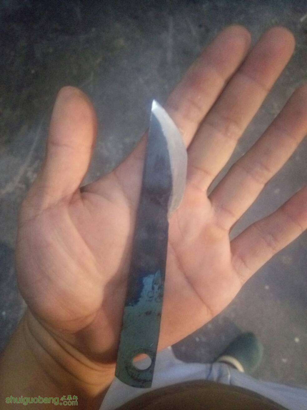 103300dhsthyrzohqhhbhm.jpg