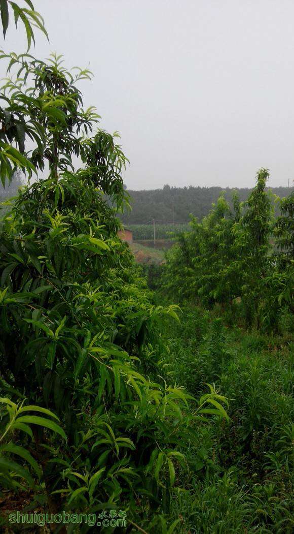 200911psp17yu7glrlro9g.jpg