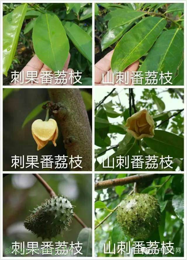 154037hc7tteemestwy5m7.jpg