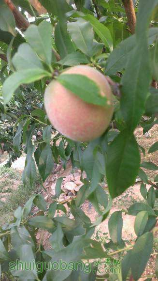 IMAG0324.jpg