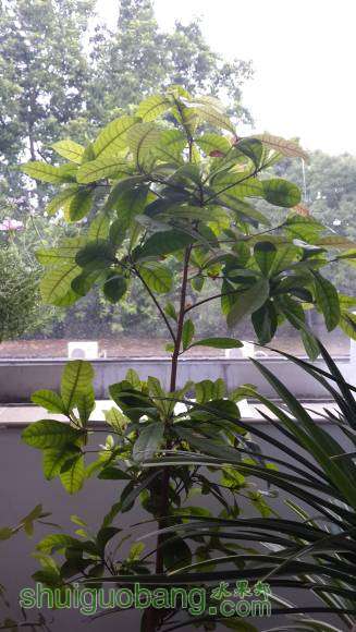 20160624_170322.jpg