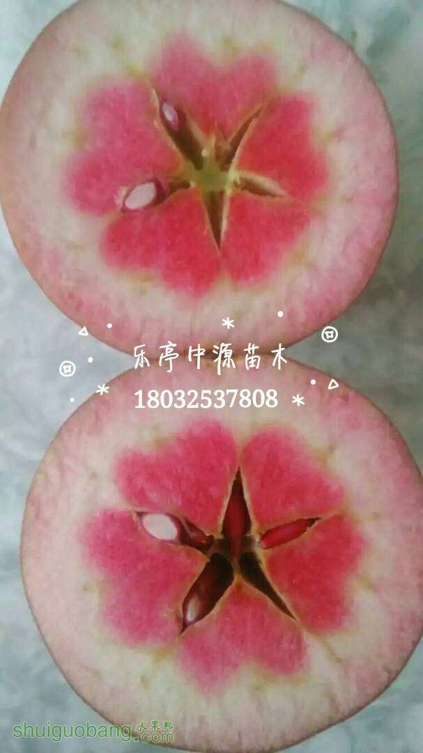 074103gizue9ne9unc8tzt.jpg