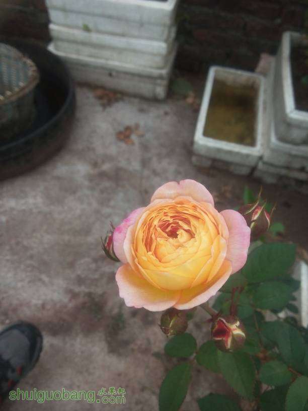180748jnzn8k6m98n96mdt.jpg