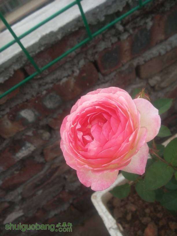 180749vrvec9i0ln4n99z4.jpg