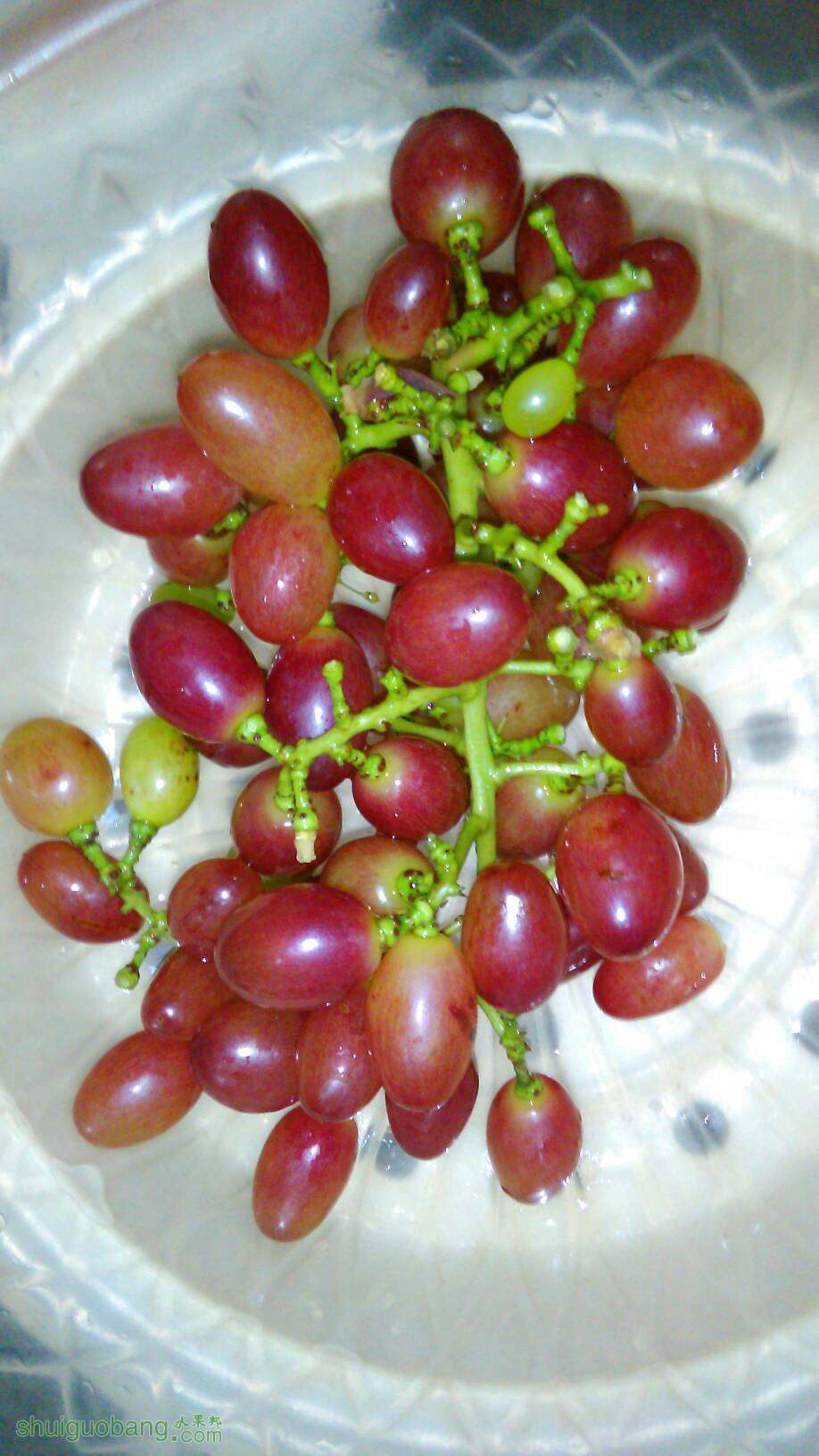 223113djj6jupln090xwl0.jpg