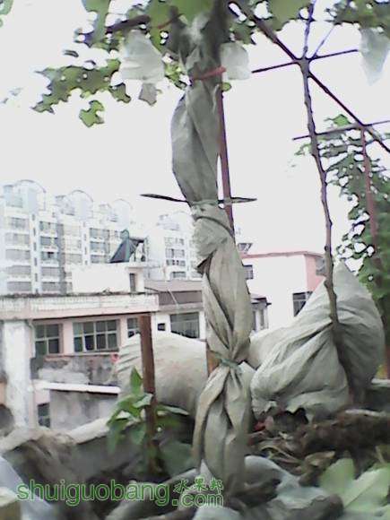 IMG_20160625_091047_775.jpg