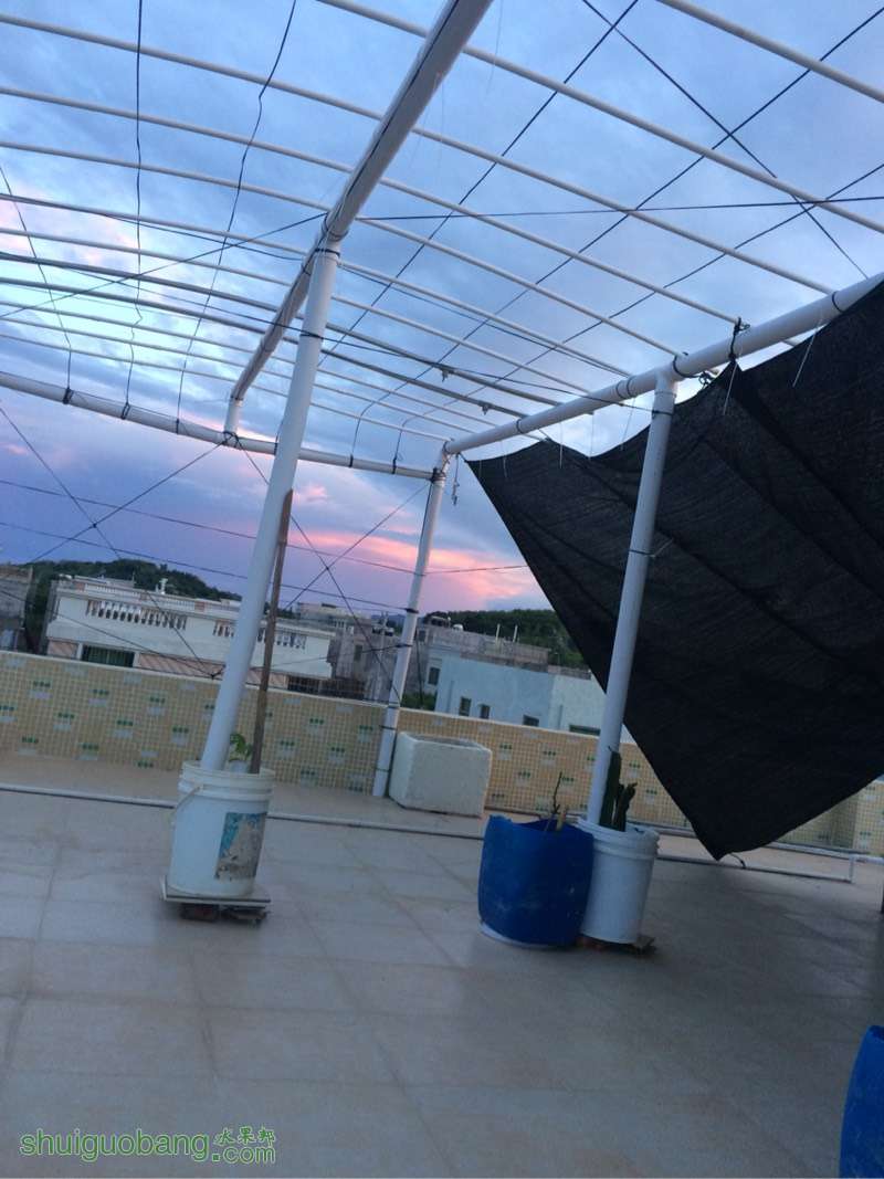 190650aw7ps7pkywy729kl.jpg